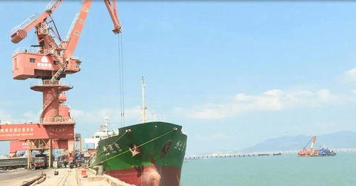 泉港 港口物流不停摆 保障海上物流促生产
